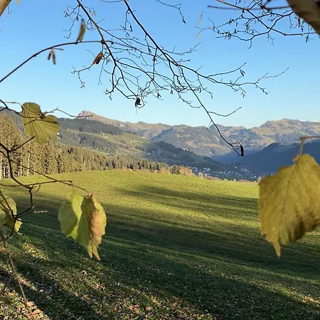 In Brixen Im Thale Near The Area Apartment *