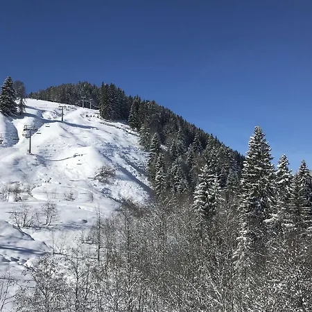 In Brixen Im Thale Near The Area Διαμέρισμα